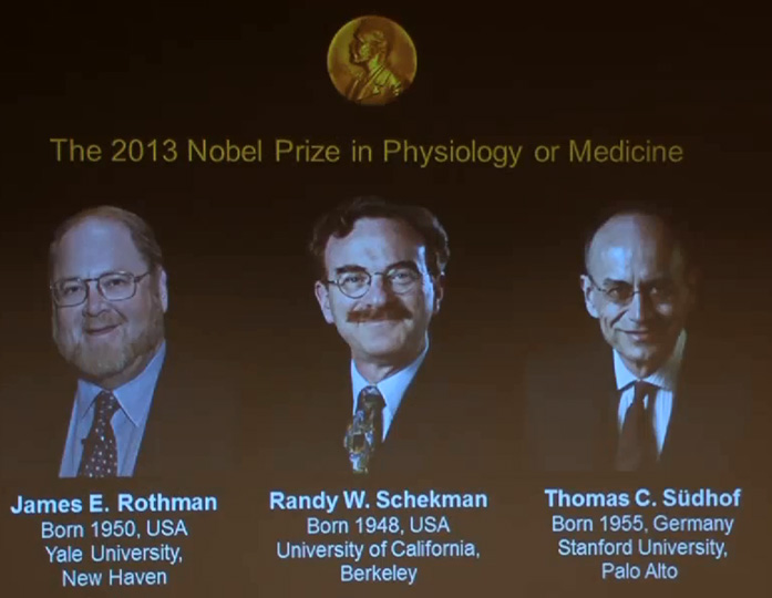 Momento del anuncio por internet del Premio Nobel de Medicina 2013. Foto: RTVE